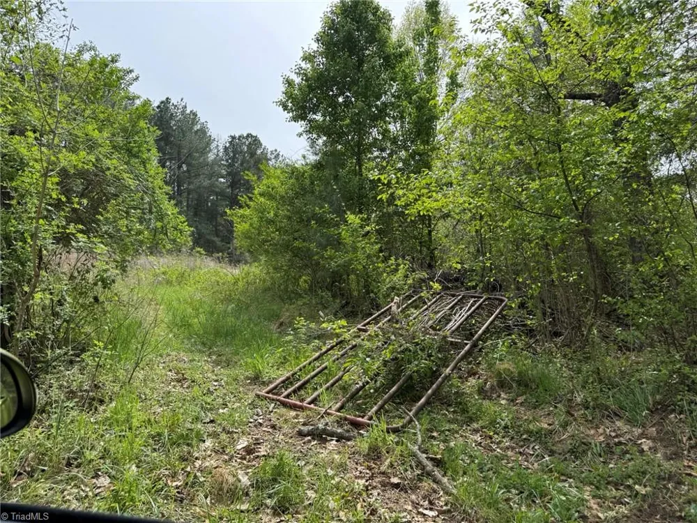 6988 Salem Chapel Road Walnut Cove, NC 27052
