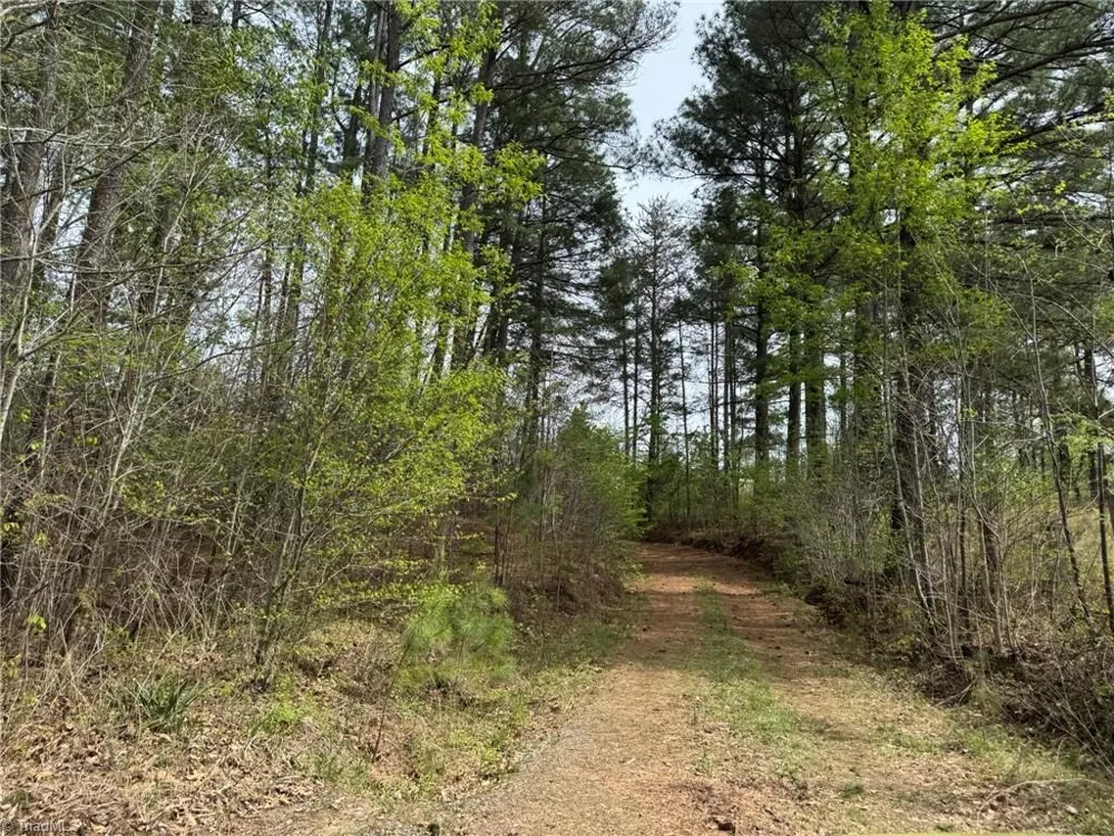 6988 Salem Chapel Road Walnut Cove, NC 27052