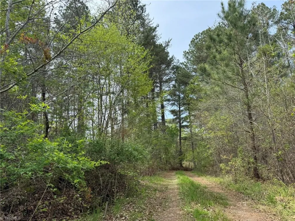 6988 Salem Chapel Road Walnut Cove, NC 27052