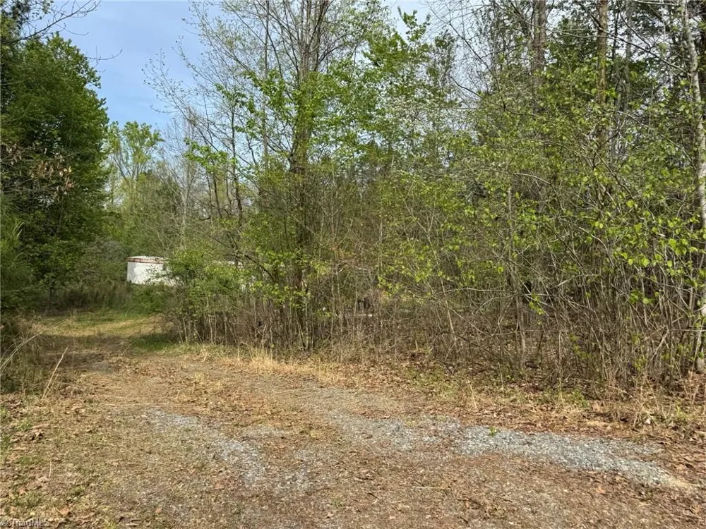 6988 Salem Chapel Road Walnut Cove, NC 27052