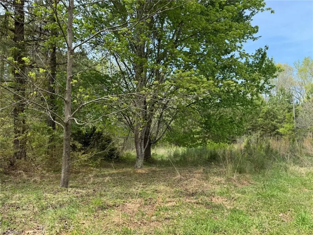 6988 Salem Chapel Road Walnut Cove, NC 27052