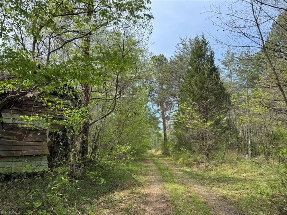6988 Salem Chapel Road Walnut Cove, NC 27052