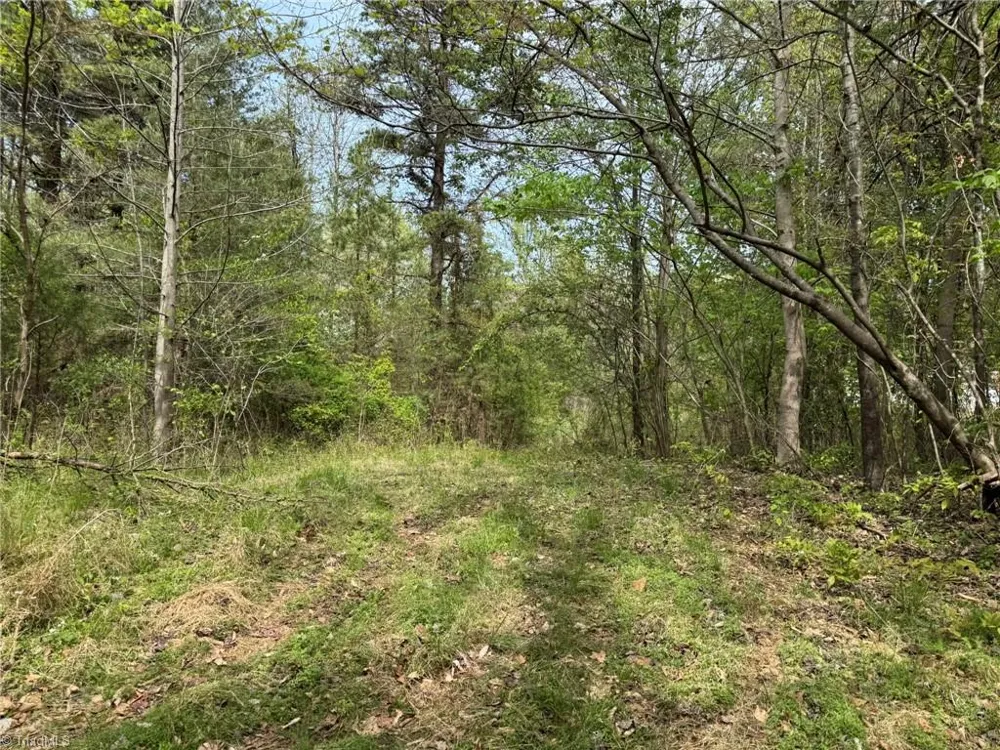 6988 Salem Chapel Road Walnut Cove, NC 27052