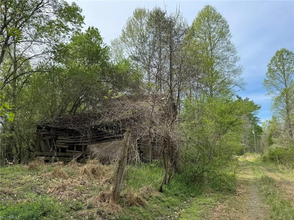6988 Salem Chapel Road Walnut Cove, NC 27052