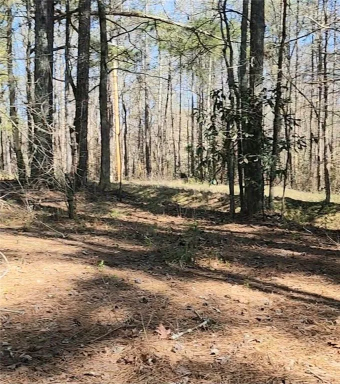 3274 Aaron Sosebee Road Cumming, GA 30028