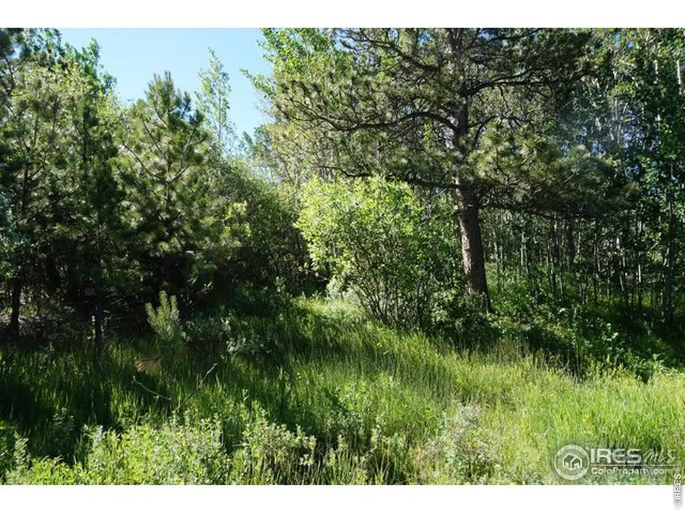 1001 Fox Acres Drive E Red Feather Lakes, CO 80545