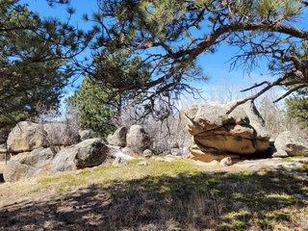1001 Fox Acres Drive E Red Feather Lakes, CO 80545