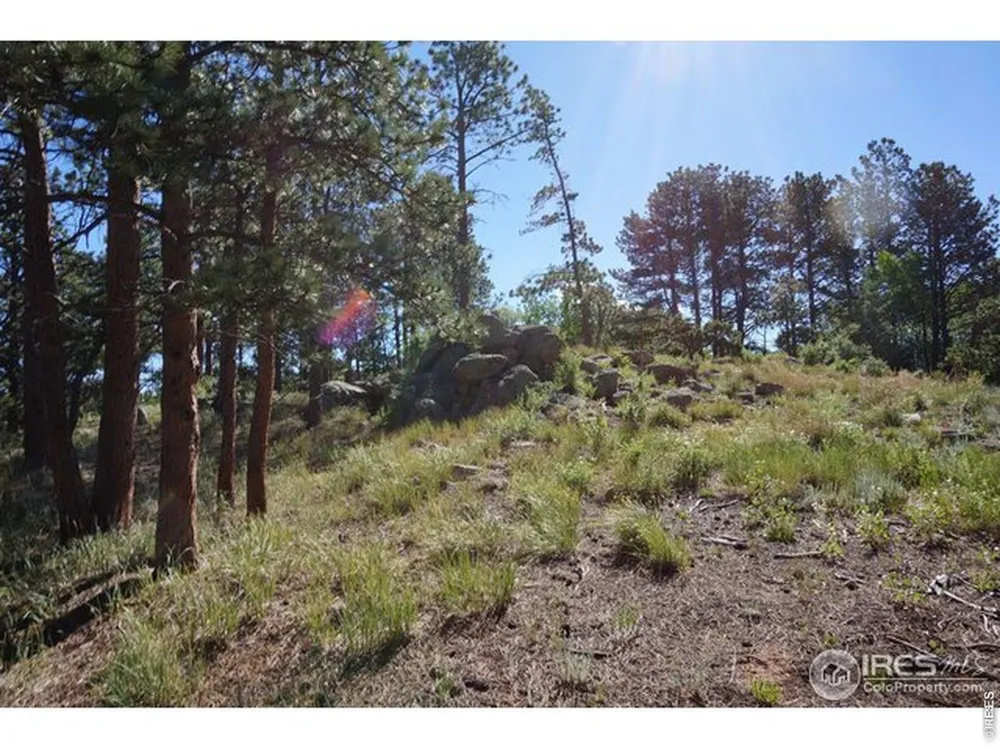 1001 Fox Acres Drive E Red Feather Lakes, CO 80545