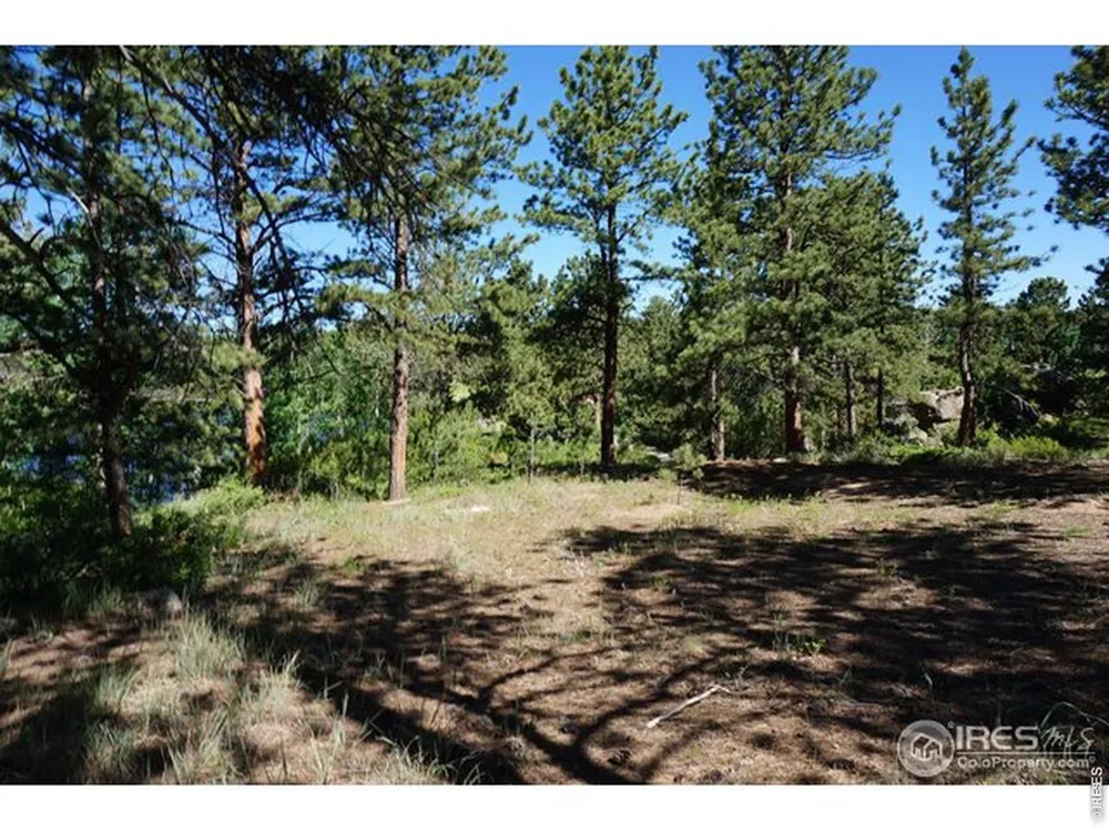 1001 Fox Acres Drive E Red Feather Lakes, CO 80545