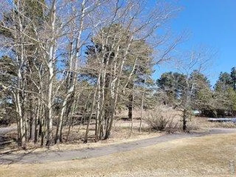 1001 Fox Acres Drive E Red Feather Lakes, CO 80545
