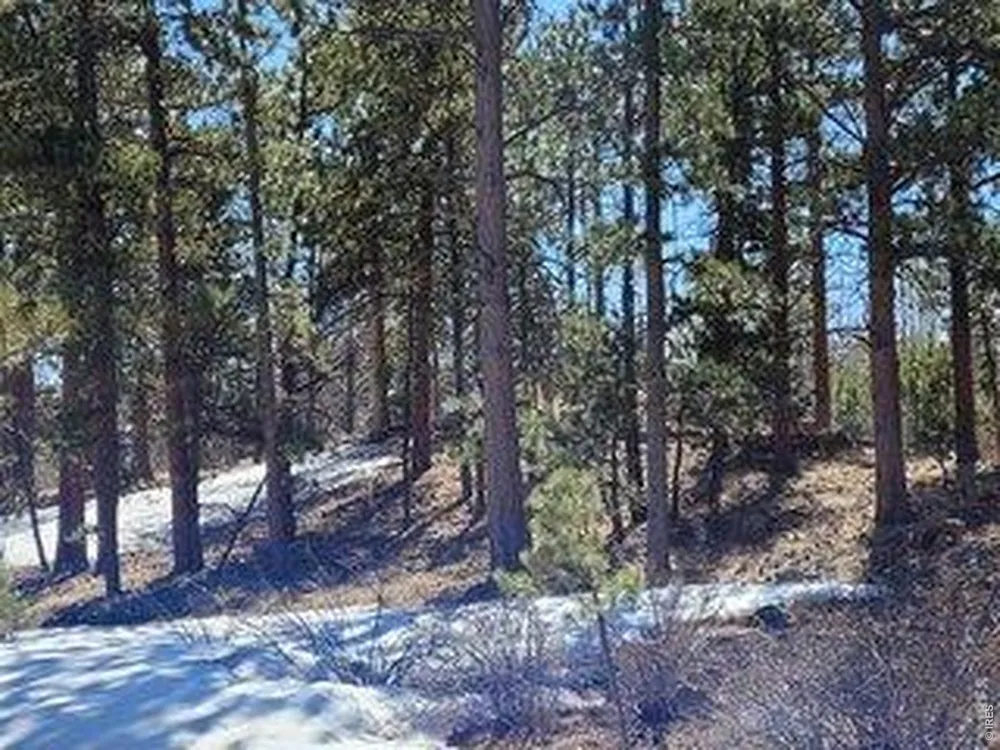 1001 Fox Acres Drive E Red Feather Lakes, CO 80545