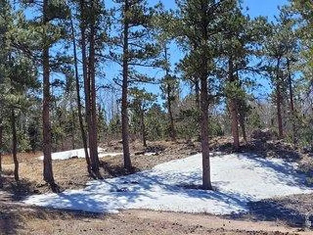 1001 Fox Acres Drive E Red Feather Lakes, CO 80545