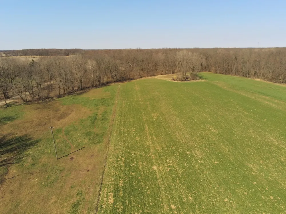 1024 23 Mile Road Homer, MI 49245
