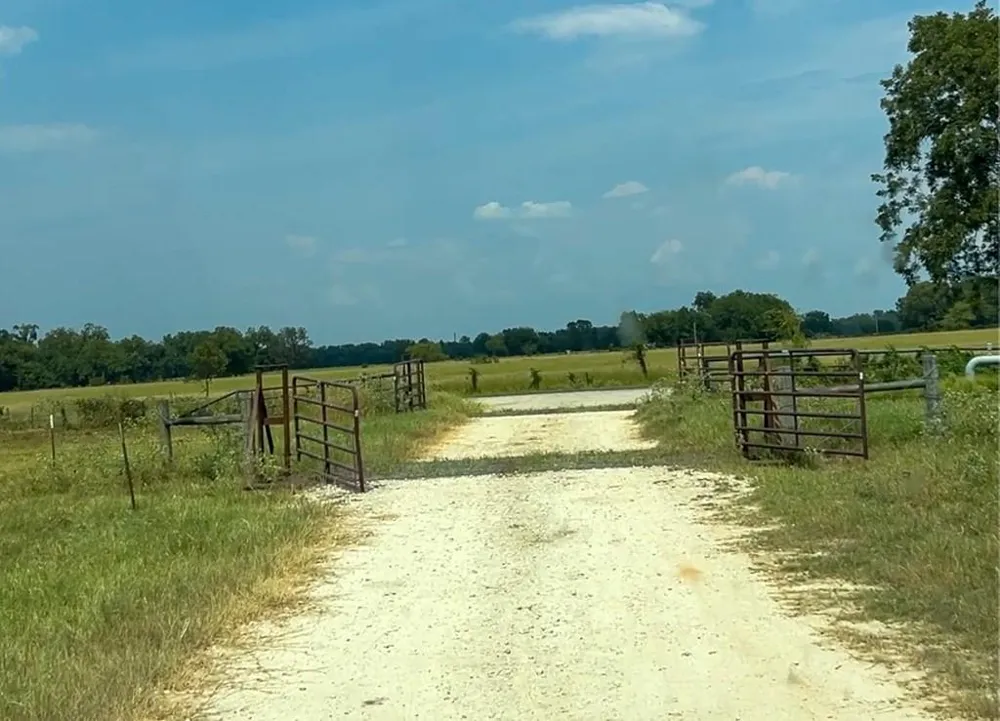 46 Fm 2548 E Midway, TX 75852