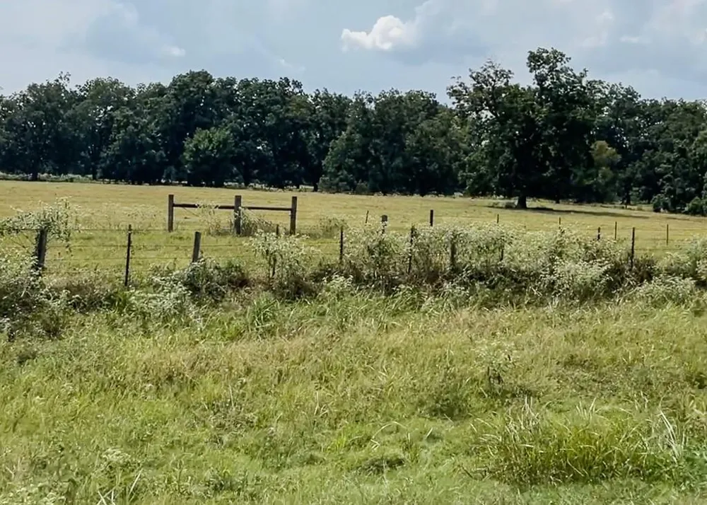 46 Fm 2548 E Midway, TX 75852