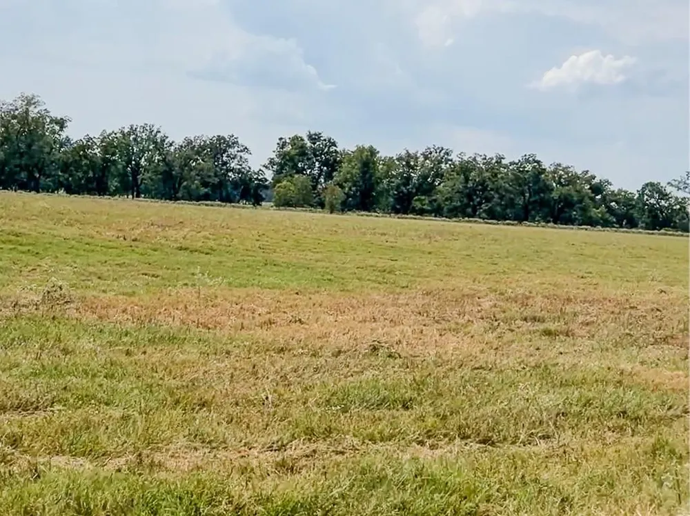 46 Fm 2548 E Midway, TX 75852