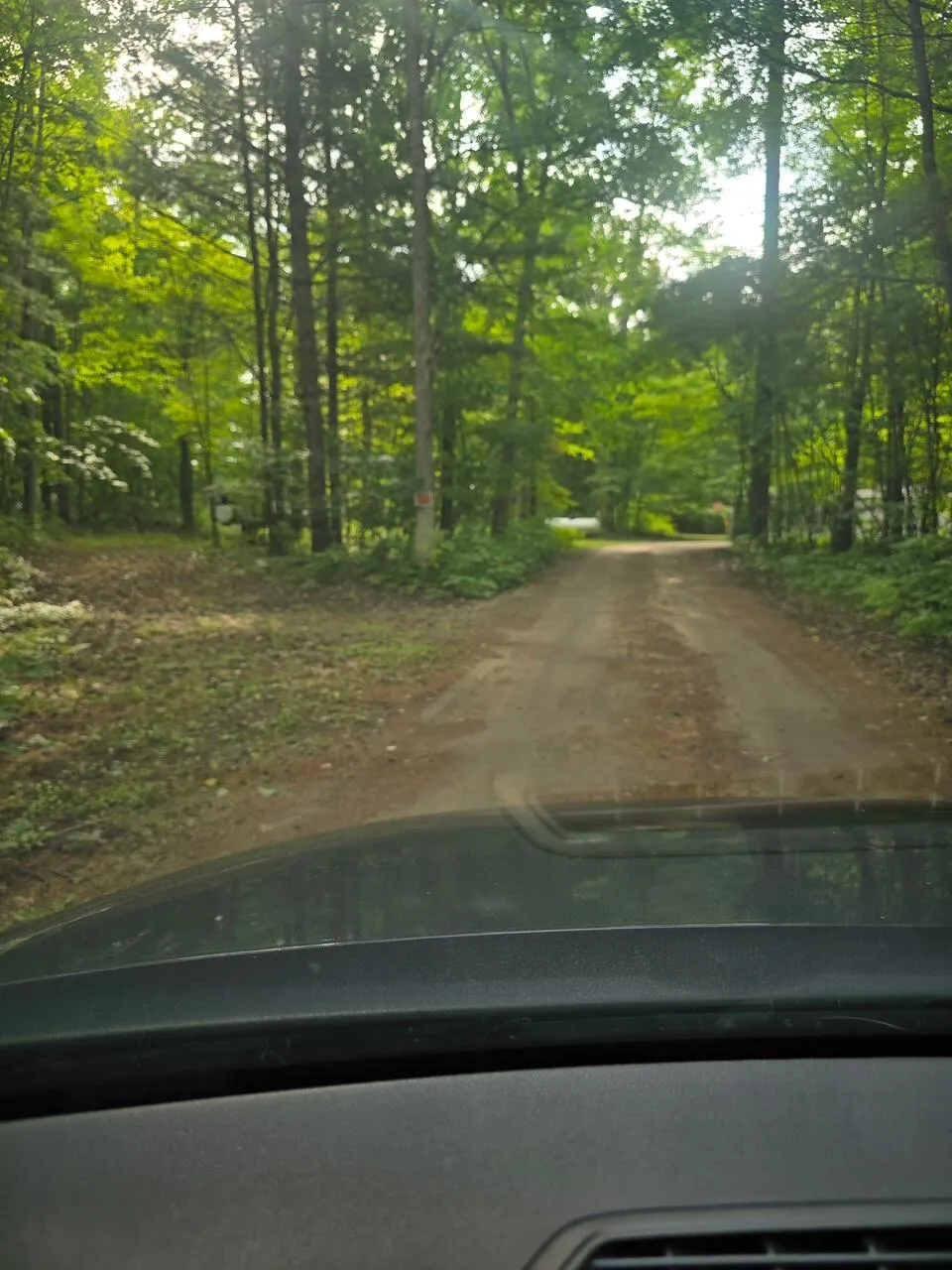 18965 Coates Highway Dickson Township, MI 49619