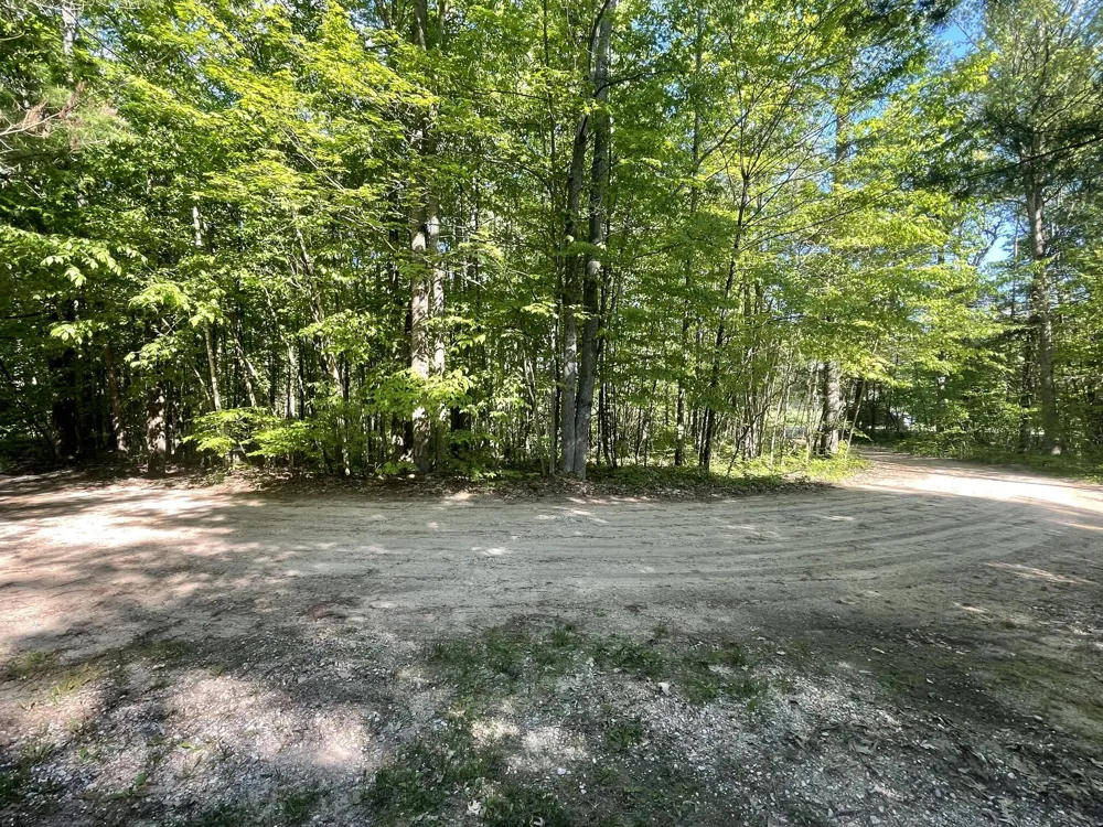 18965 Coates Highway Dickson Township, MI 49619