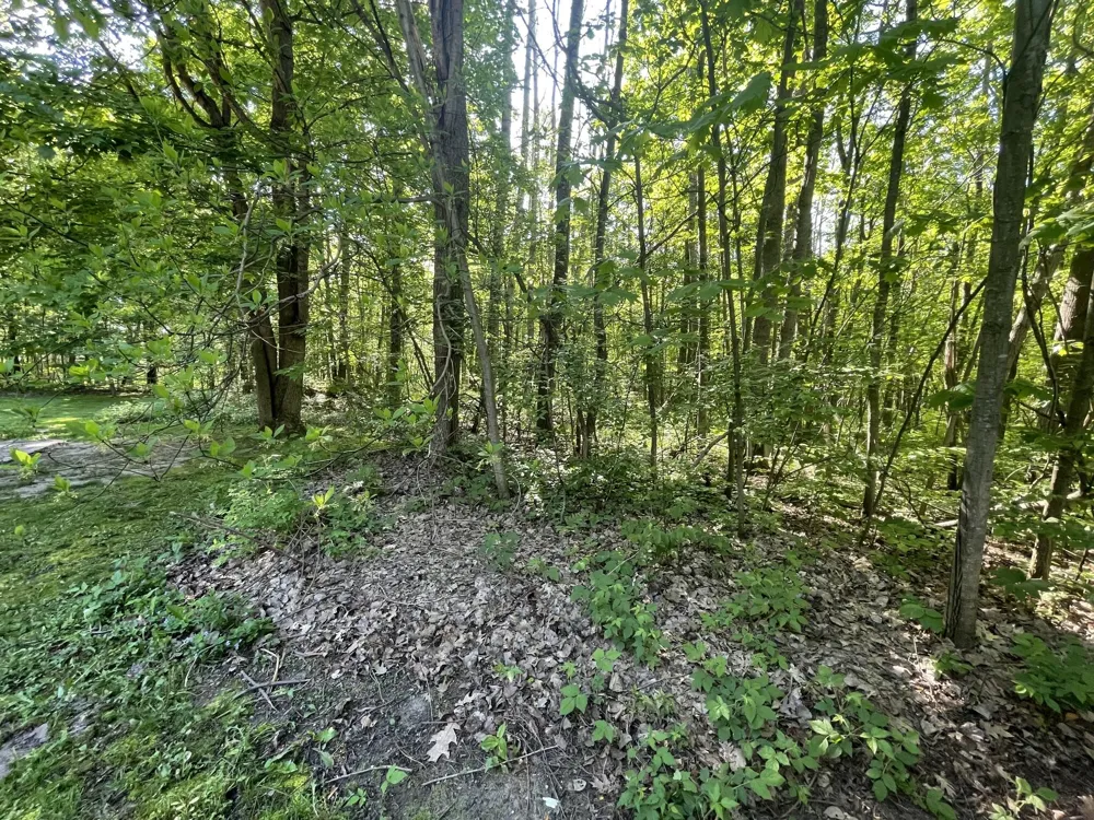 18965 Coates Highway Dickson Township, MI 49619