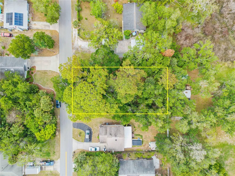 BROOKLINE AVENUE New Smyrna Beach, FL 32168