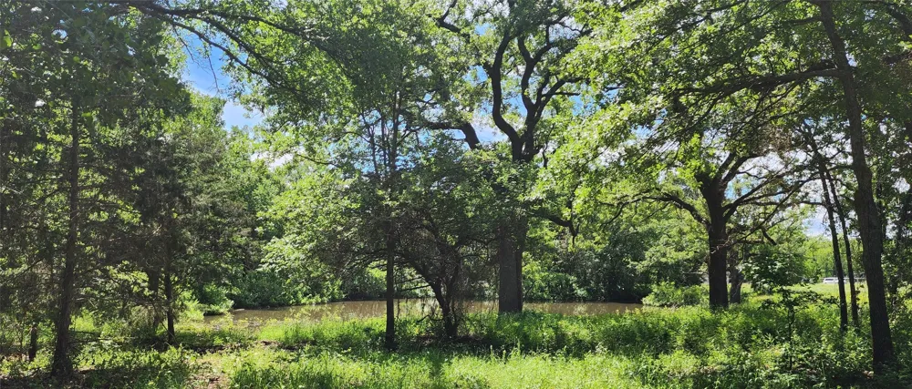 Turner Road Cross Roads, TX 76227