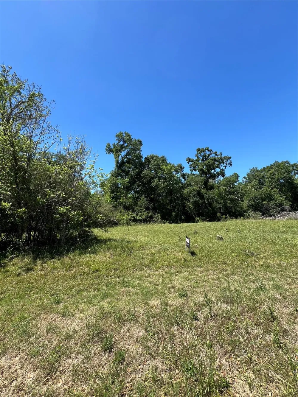 131 Hidden Horse Trail Angleton, TX 77515
