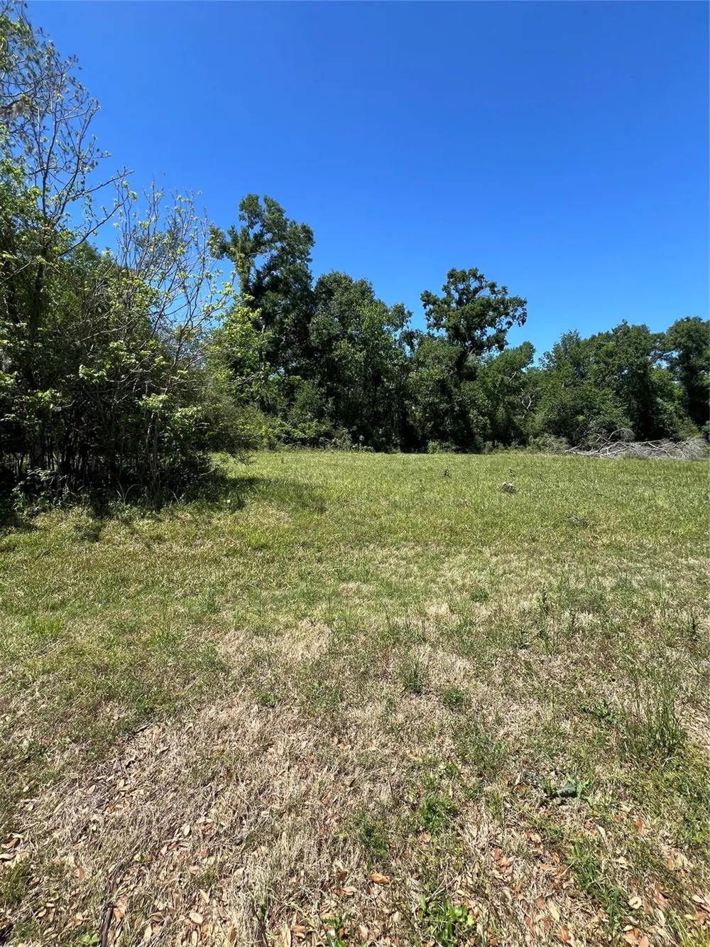 131 Hidden Horse Trail Angleton, TX 77515