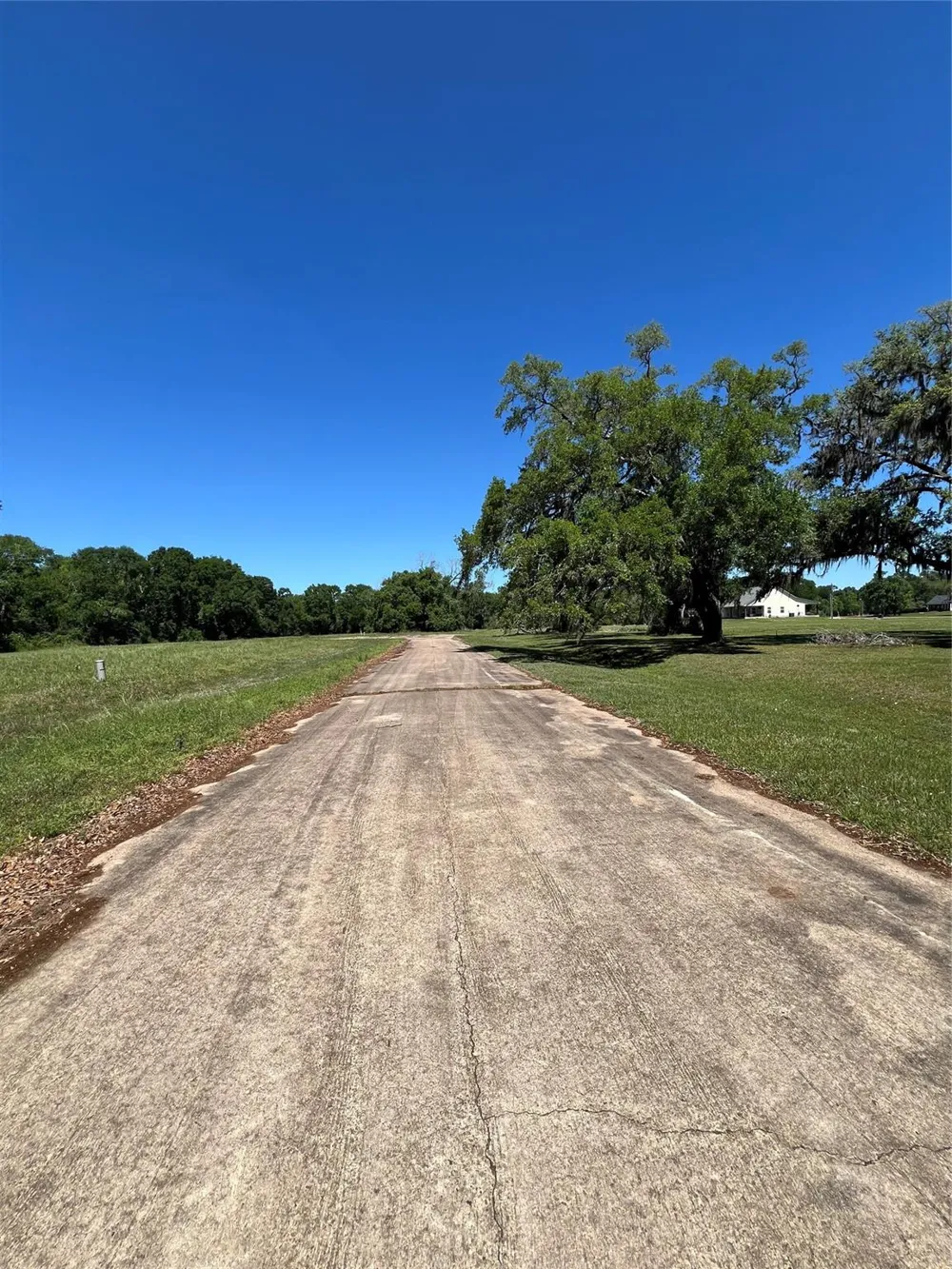 131 Hidden Horse Trail Angleton, TX 77515