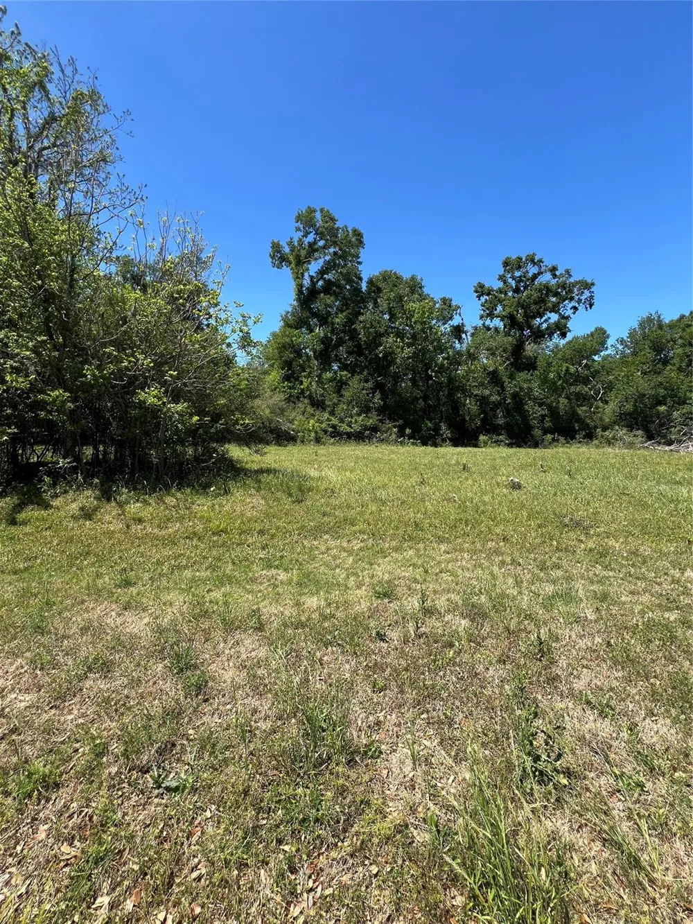 131 Hidden Horse Trail Angleton, TX 77515