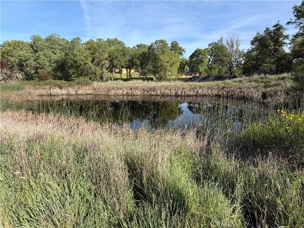 1100 Oak Park Lakeport, CA 95453