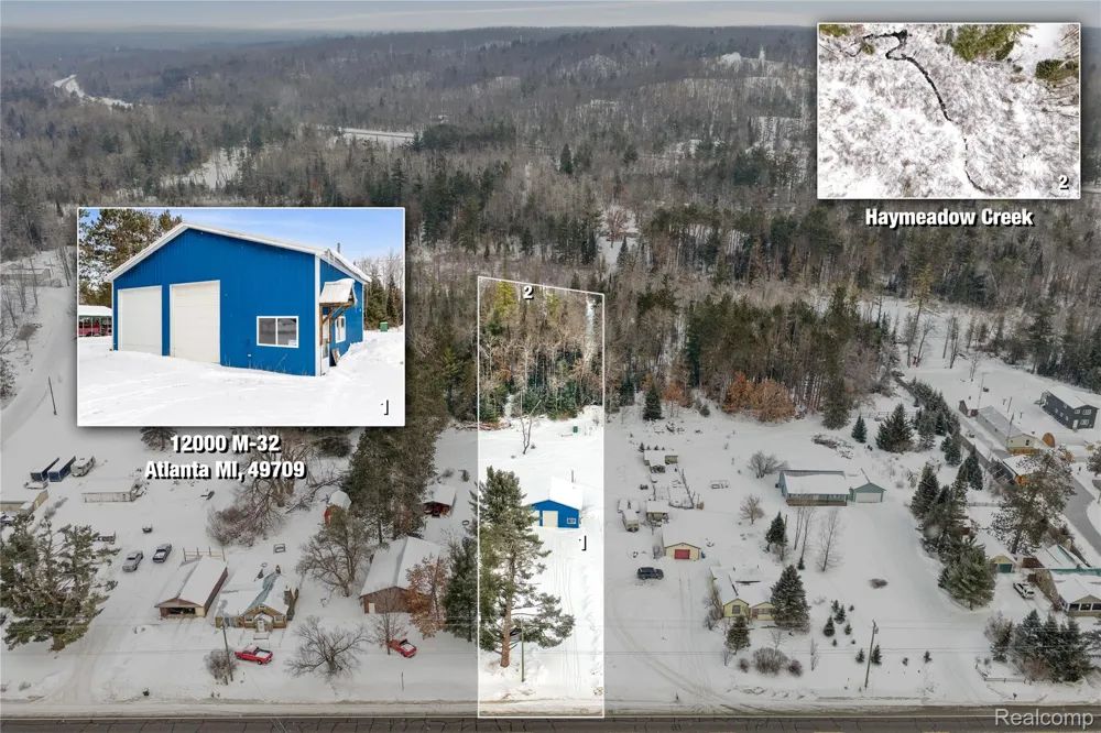 12000 M-32 Briley Township, MI 49709
