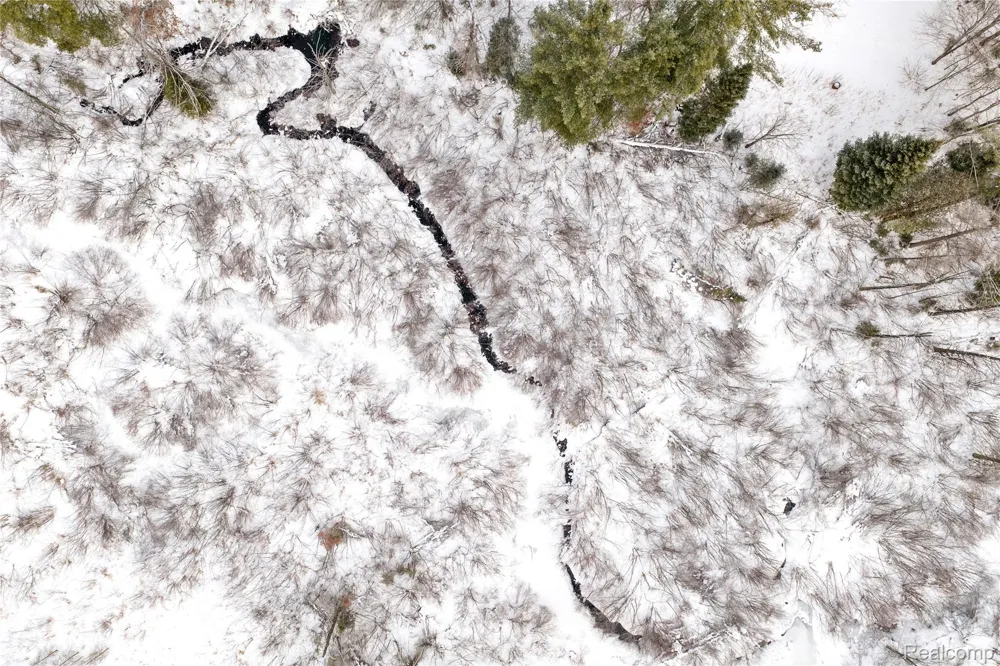 12000 M-32 Briley Township, MI 49709