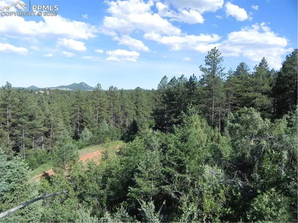 8117 Acoma Drive Larkspur, CO 80118