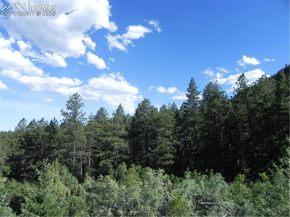 8117 Acoma Drive Larkspur, CO 80118