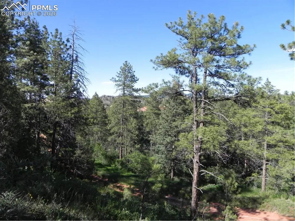 8117 Acoma Drive Larkspur, CO 80118