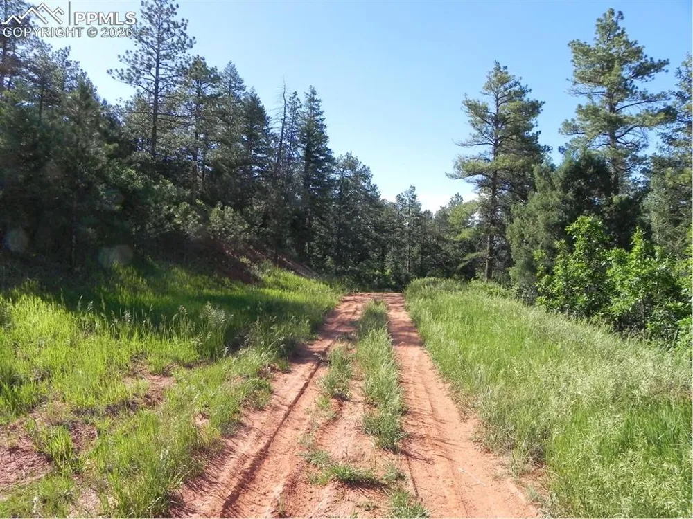 8117 Acoma Drive Larkspur, CO 80118