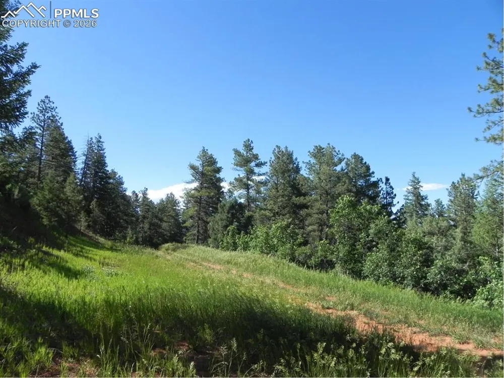 8117 Acoma Drive Larkspur, CO 80118