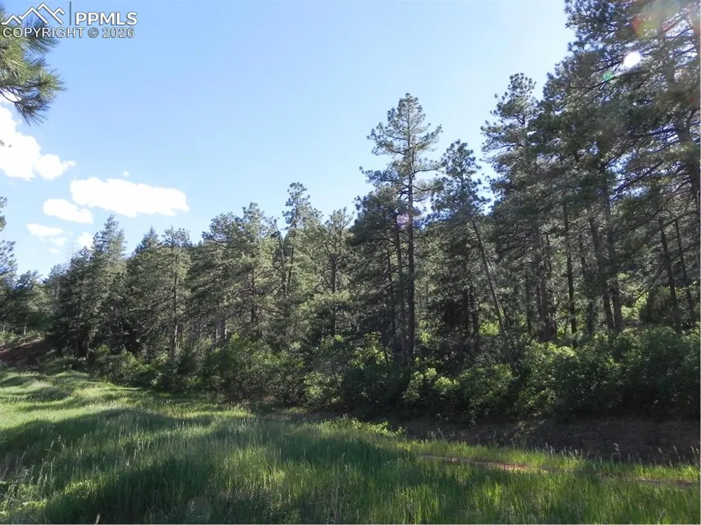 8117 Acoma Drive Larkspur, CO 80118