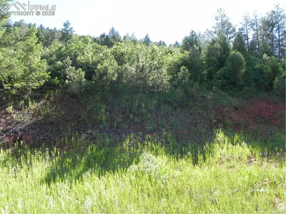 8117 Acoma Drive Larkspur, CO 80118