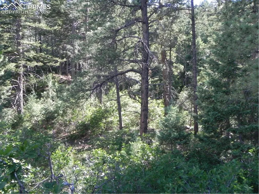8117 Acoma Drive Larkspur, CO 80118