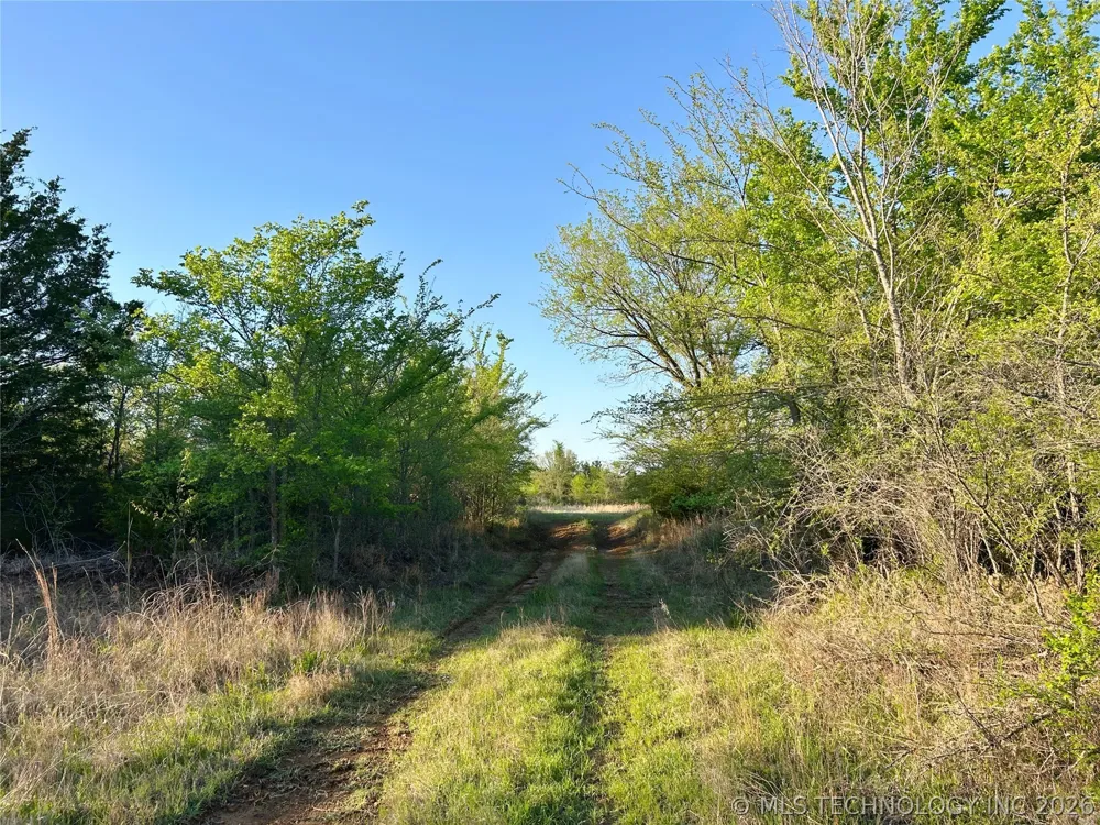 19875 S 310 ROAD Morris, OK 74445
