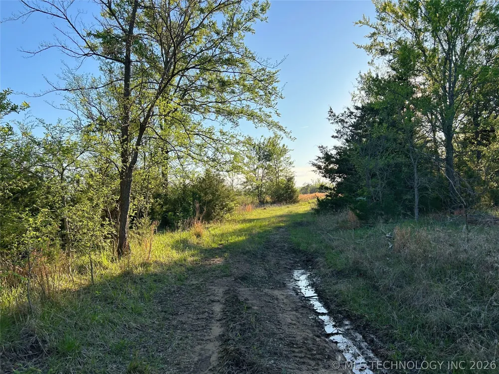 19875 S 310 ROAD Morris, OK 74445