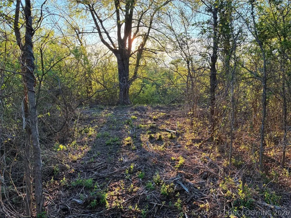 19875 S 310 ROAD Morris, OK 74445