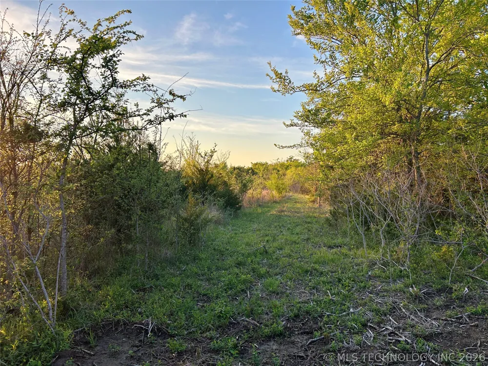19875 S 310 ROAD Morris, OK 74445