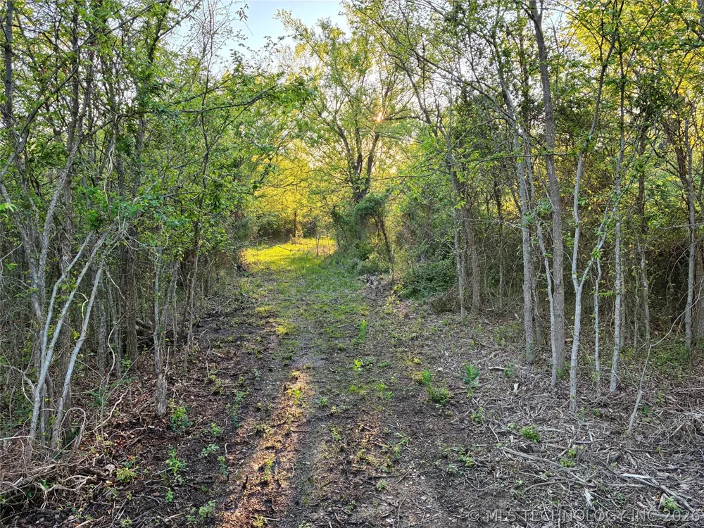 19875 S 310 ROAD Morris, OK 74445