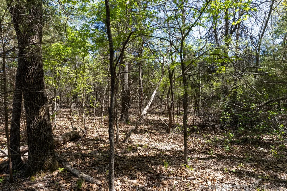 4 E 1180 ROAD Okemah, OK 74859