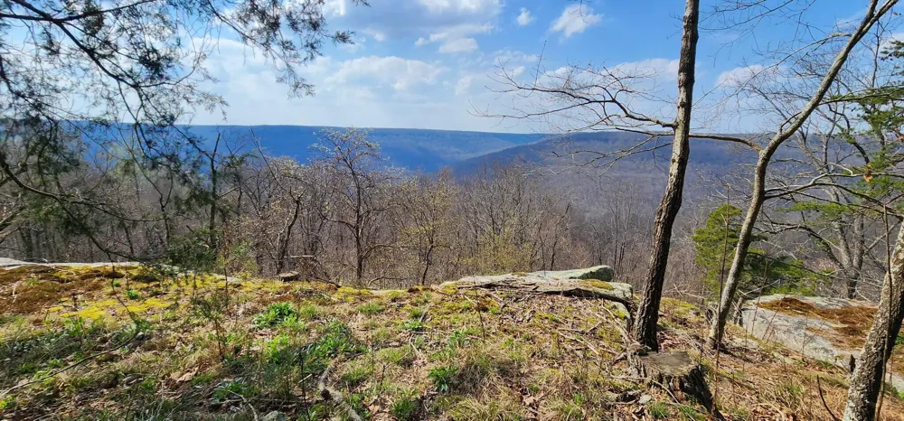 Roth Point Road Altamont, TN 37301