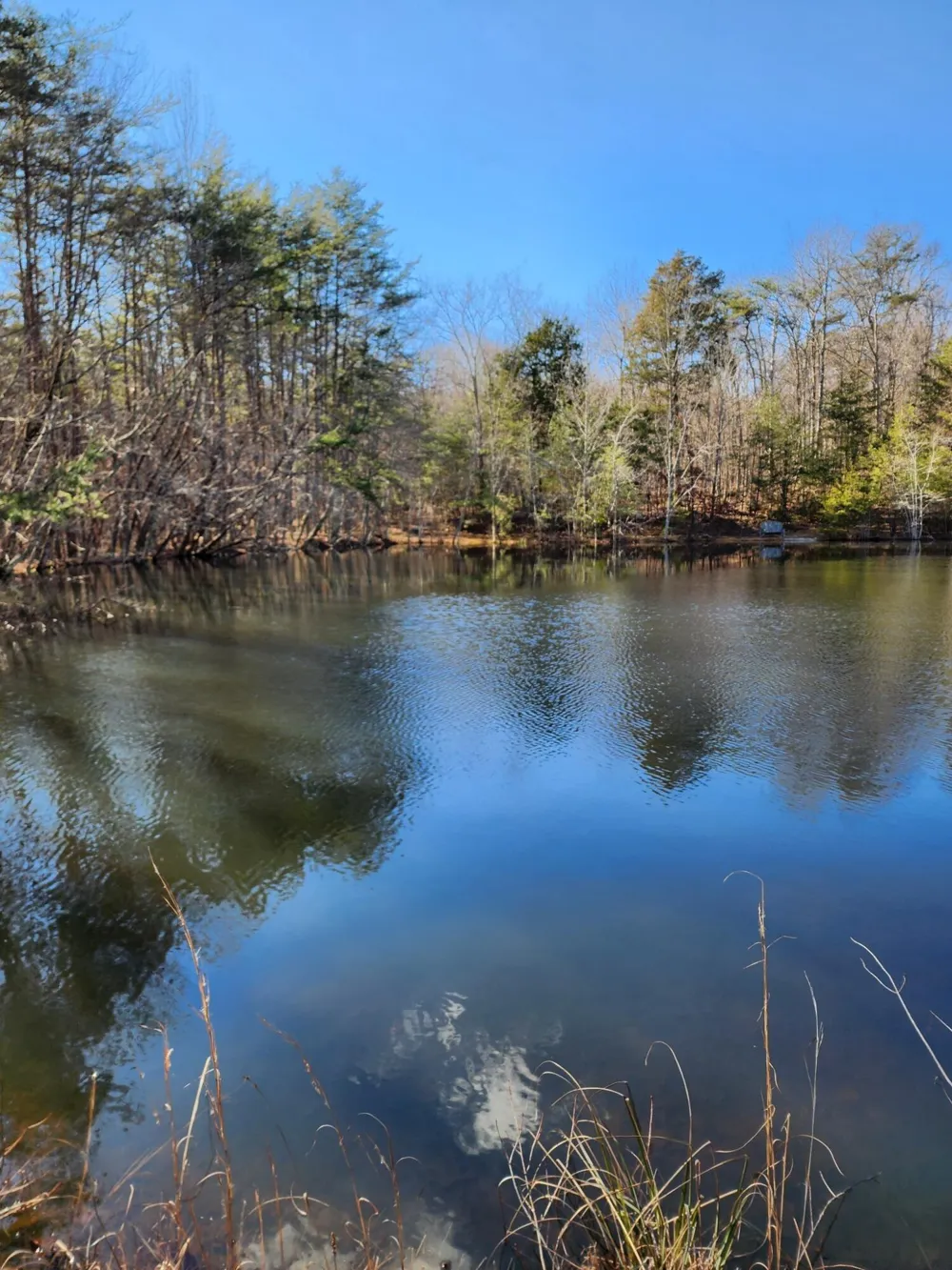 Roth Point Road Altamont, TN 37301