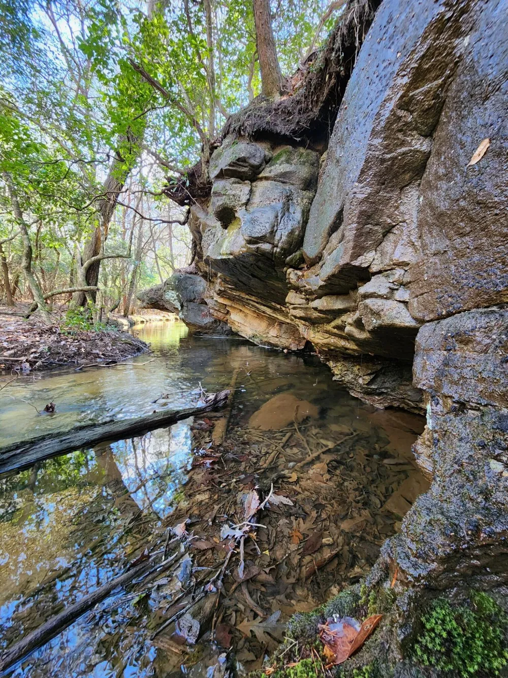 Roth Point Road Altamont, TN 37301