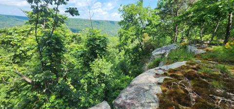 Roth Point Road